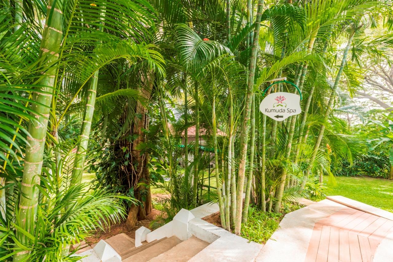 Royal Orchid Brindavan Garden Mysore Belagula Εξωτερικό φωτογραφία